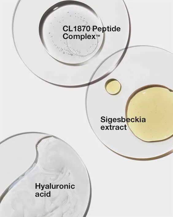 Sigesbeckia Extract