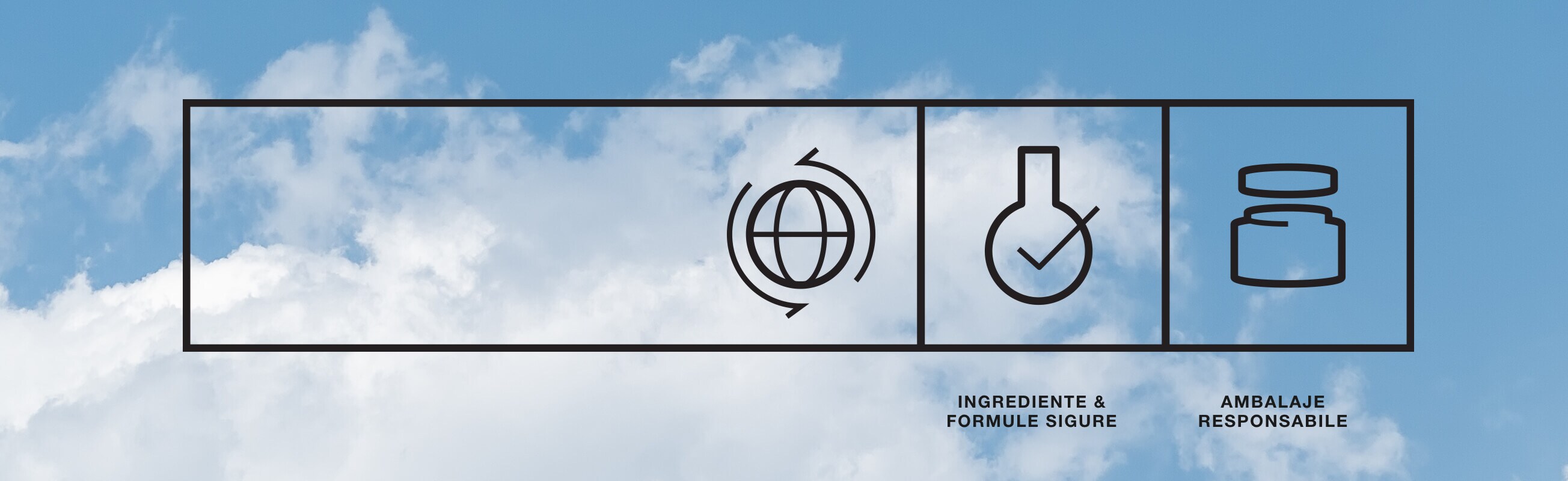 Ingrediente si formule sigure. Ambalare responsabila