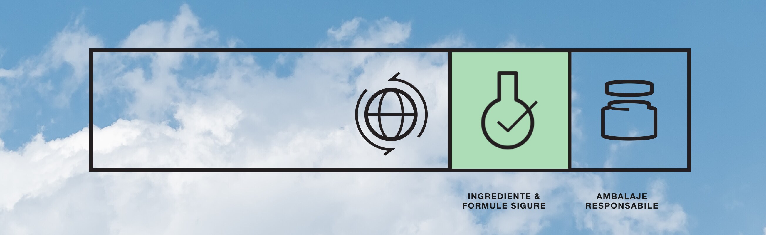 Ingrediente si formule sigure. Ambalare responsabila