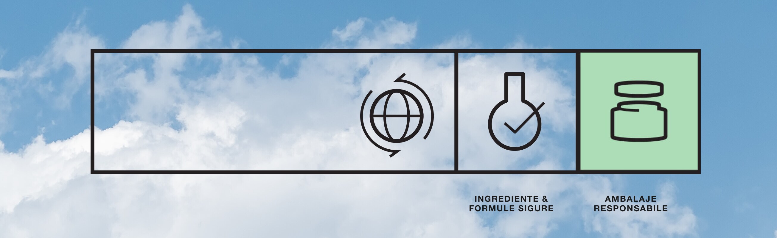 Ingrediente si formule sigure. Ambalare responsabila